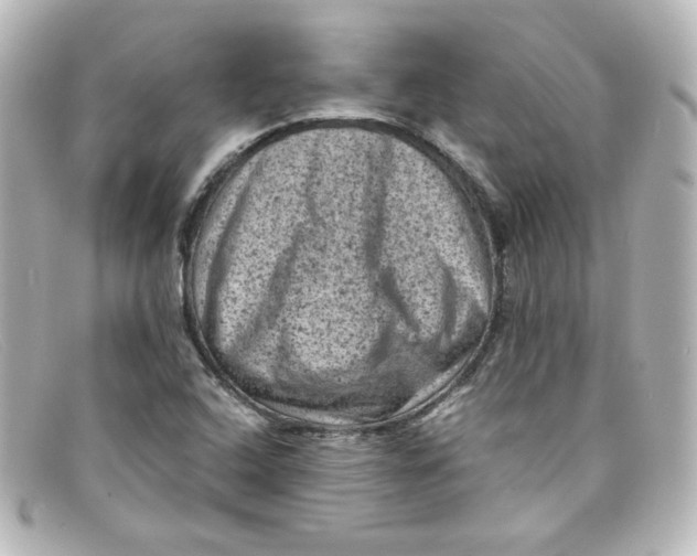 X0000098161408200805081054
