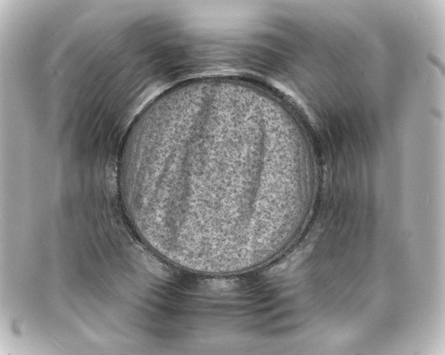 X0000098161409200805081054