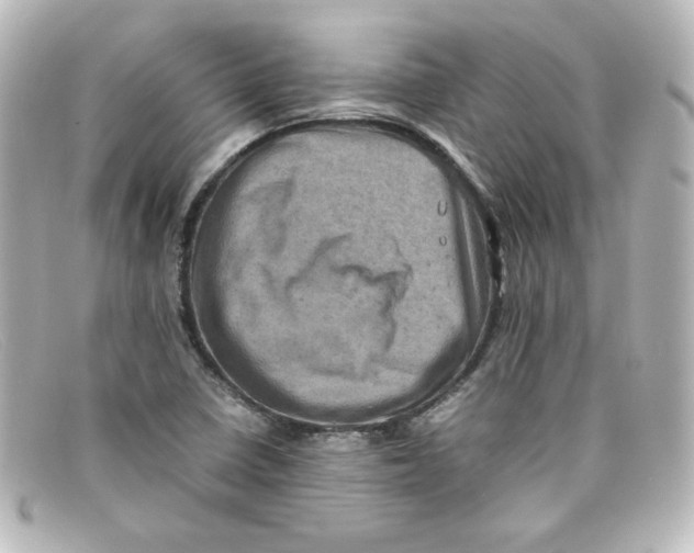 X0000098161410200805081054