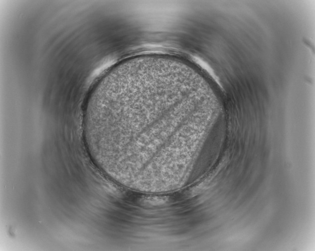 X0000098161411200805081054