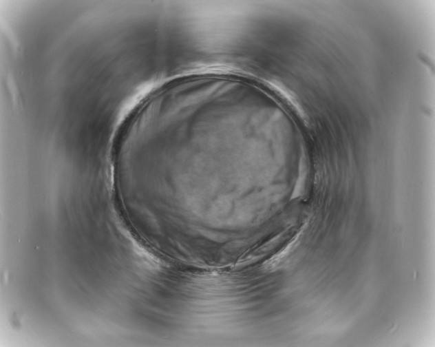 X0000098161414200805081054