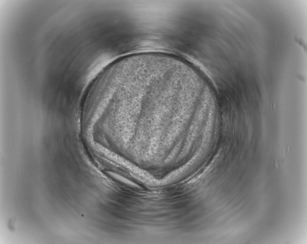 X0000098161415200805081054