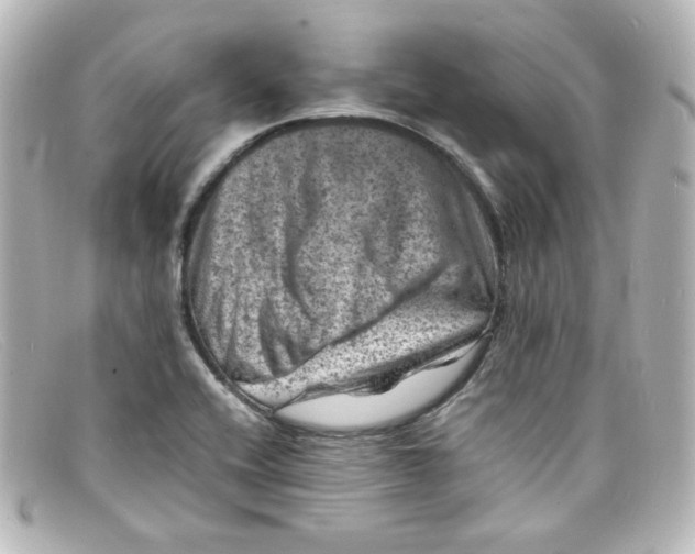X0000098161416200805081054