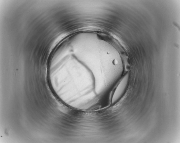 X0000098161418200805081054