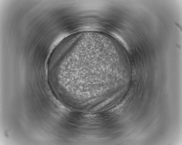 X0000098161419200805081054