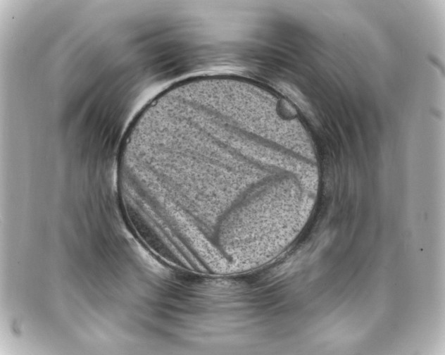 X0000098161420200805081054