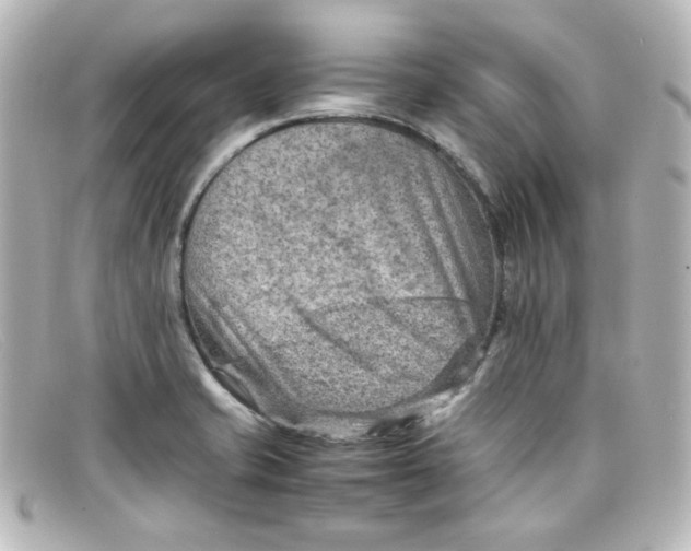X0000098161421200805081054
