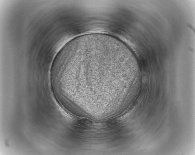 X0000098161423200805081054