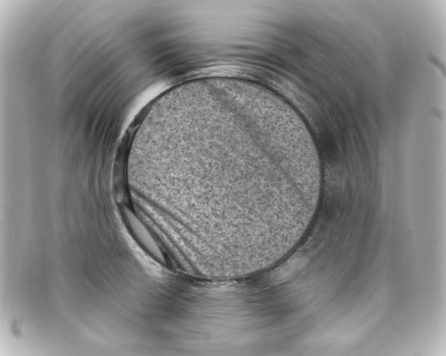 X0000098161426200805081054