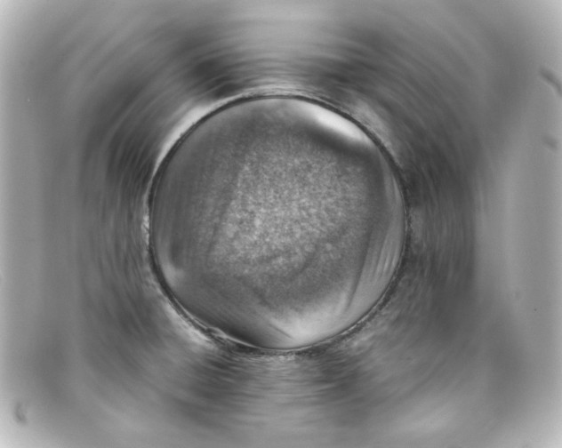 X0000098161428200805081054