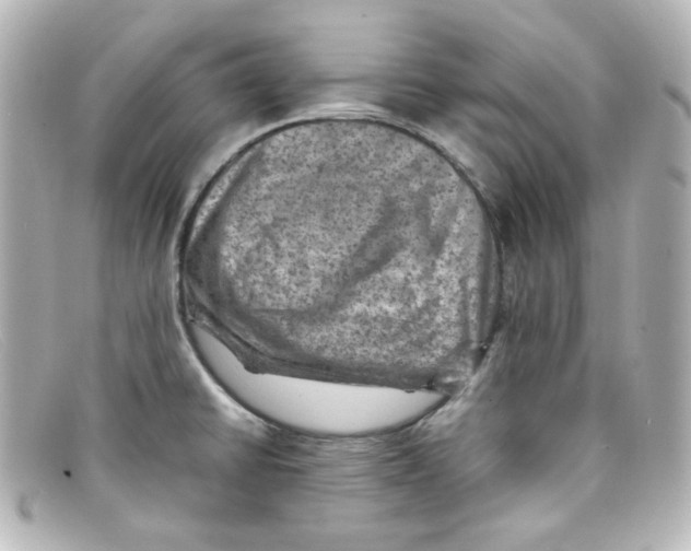 X0000098161430200805081054