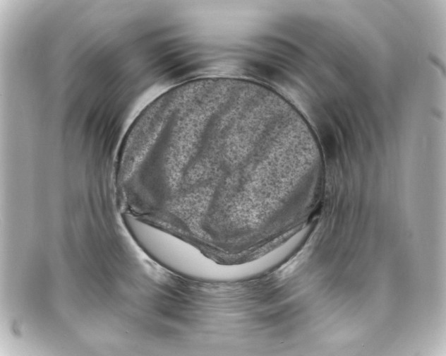 X0000098161434200805081054