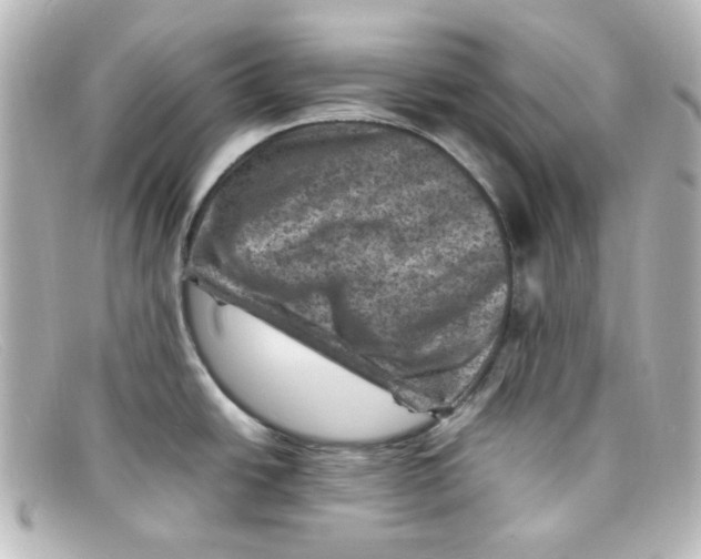 X0000098161438200805081054