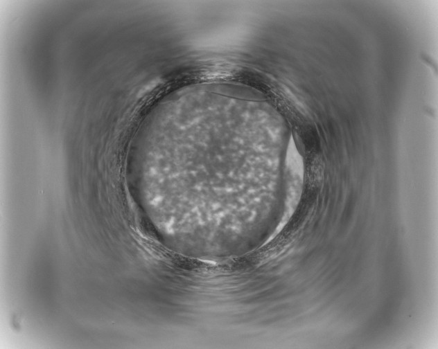 X0000098161441200805081053