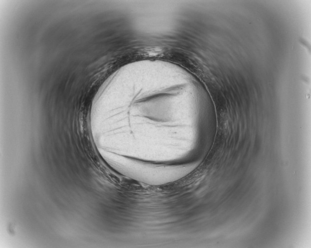 X0000098161442200805081053