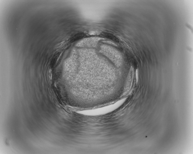 X0000098161443200805081053