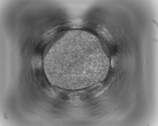 X0000098161444200805081053
