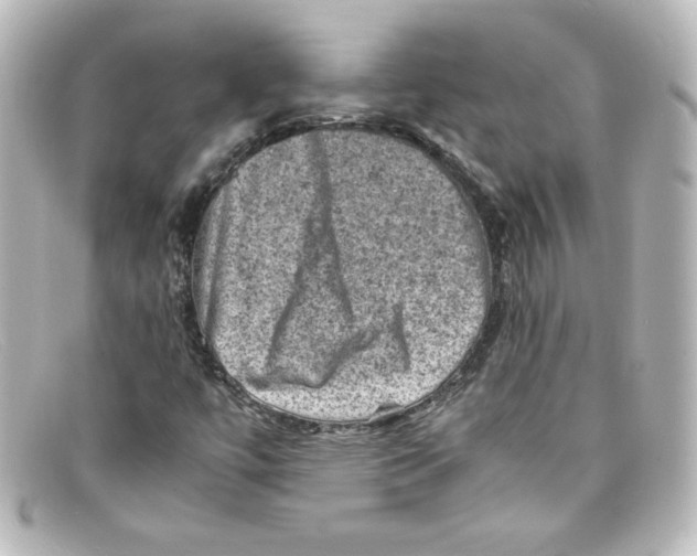 X0000098161447200805081053