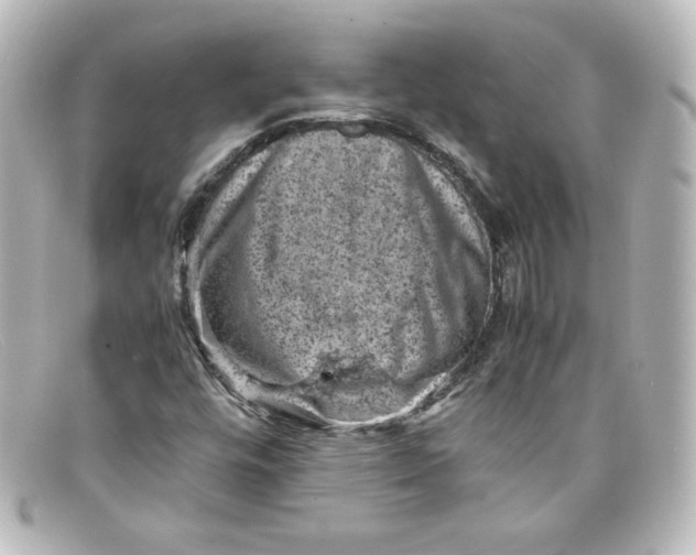 X0000098161448200805081053