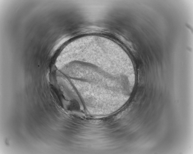 X0000098161453200805081053