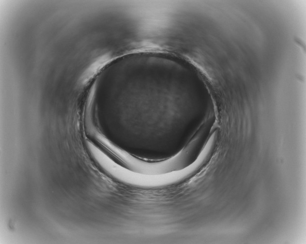 X0000098161455200805081053