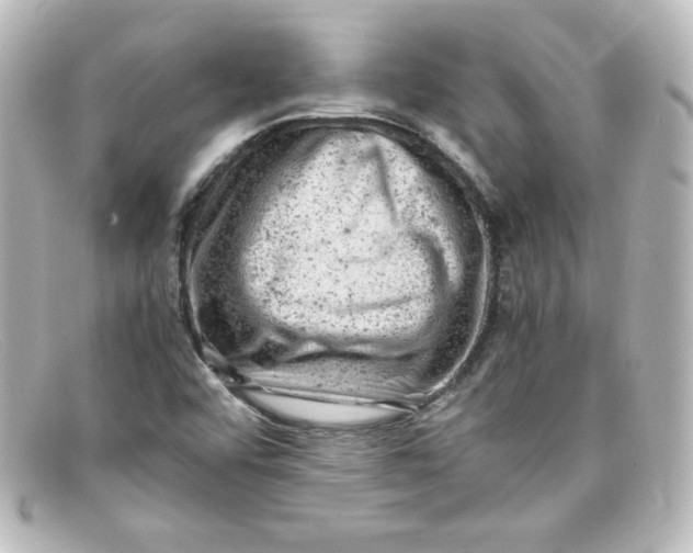 X0000098161456200805081053