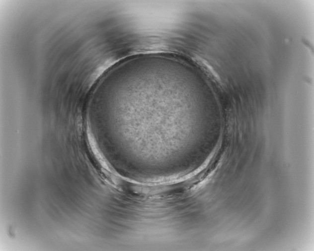X0000098161457200805081053