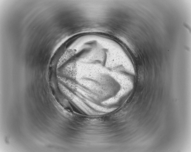 X0000098161460200805081053