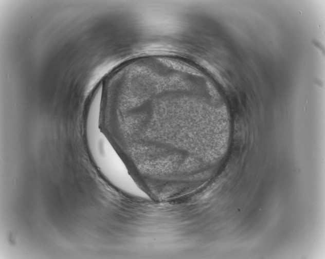 X0000098161461200805081053