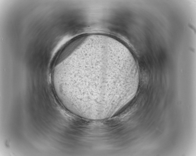 X0000098161462200805081053