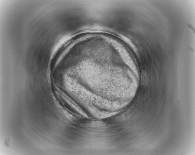 X0000098161464200805081053