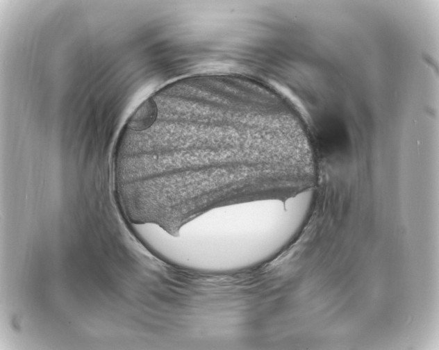X0000098161467200805081053