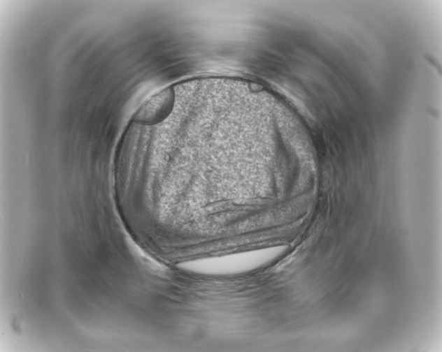 X0000098161471200805081053