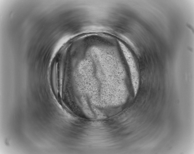 X0000098161472200805081053