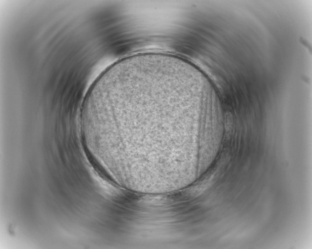 X0000098161474200805081053