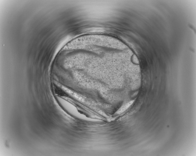 X0000098161475200805081053