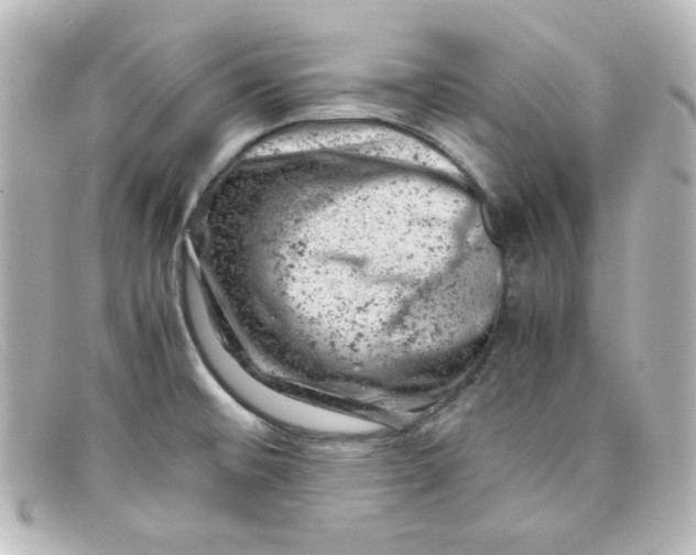 X0000098161476200805081053