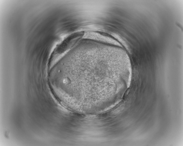 X0000098161477200805081053