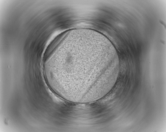 X0000098161478200805081053