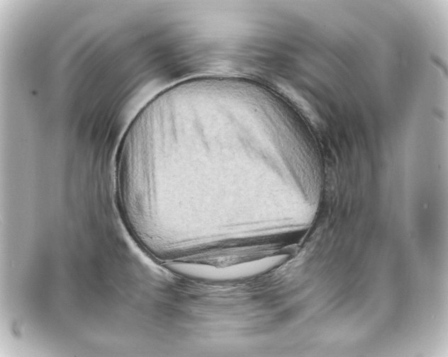 X0000098161479200805081053