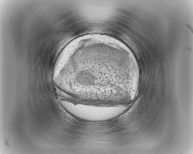 X0000098161481200805081053