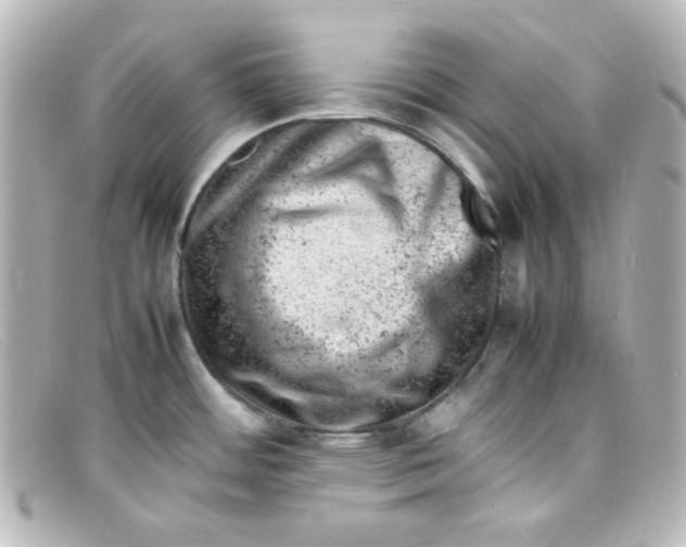 X0000098161484200805081053
