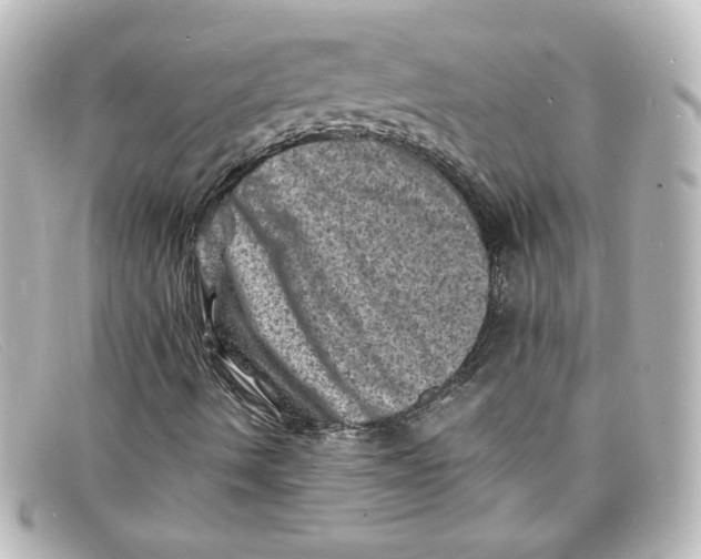 X0000098161490200805081052