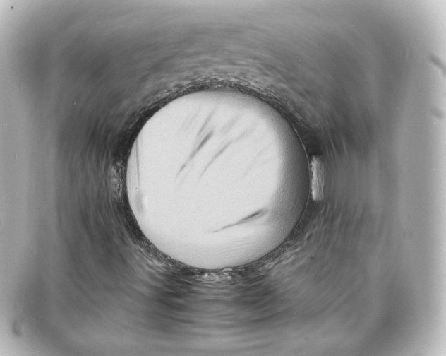 X0000098161491200805081052