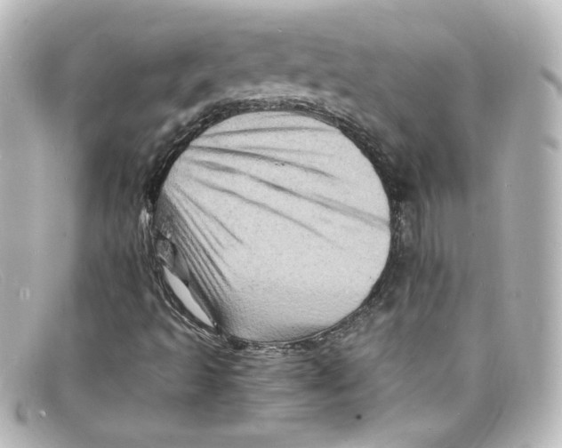 X0000098161493200805081052