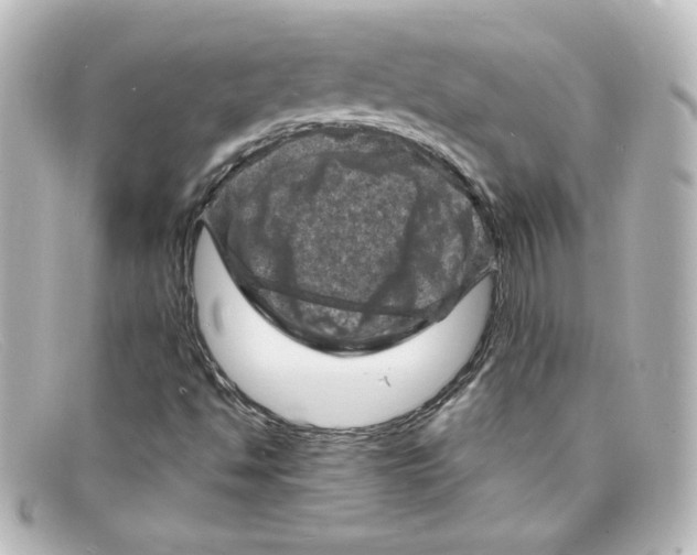 X0000098161494200805081052