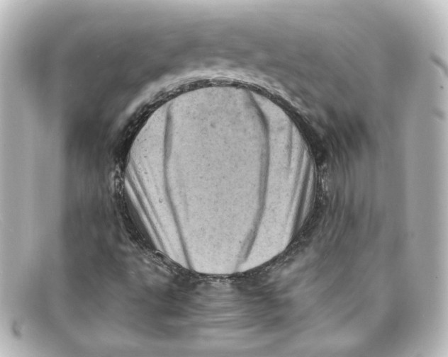 X0000098161495200805081052