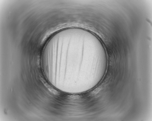 X0000098161499200805081052