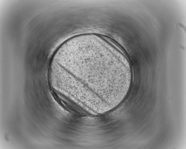 X0000098161500200805081052