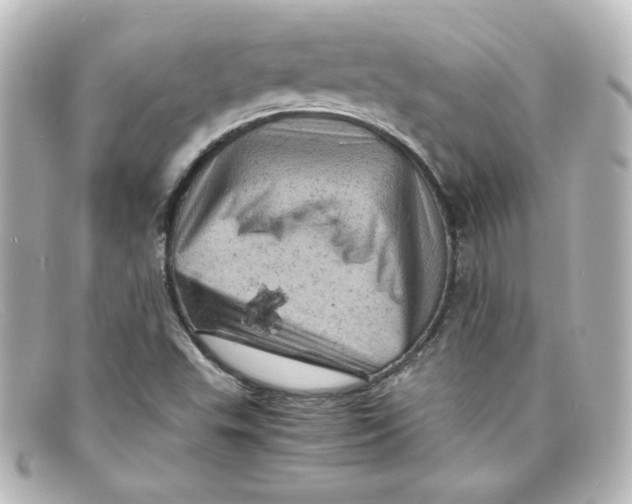 X0000098161503200805081052